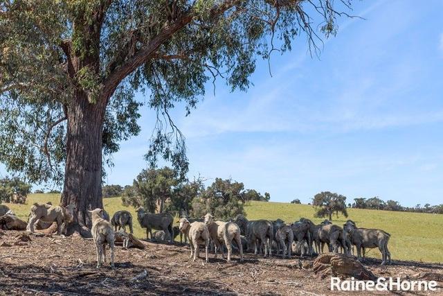 C/A 2A & 2D 555 & 565 Dairy Flat Road, VIC 3523