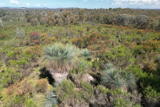 Lot 12 Heathcote-Nagambie Road, VIC 3523