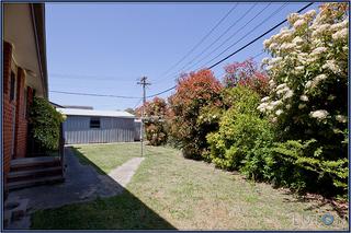 Garden to Shed (2011-10-20)