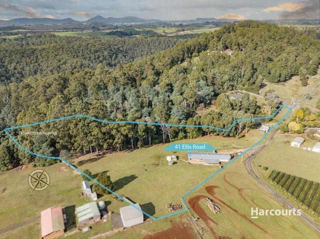 41 Ellis Road, TAS 7320