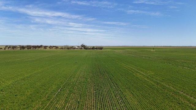 1266 Davis Rd, SA 5540