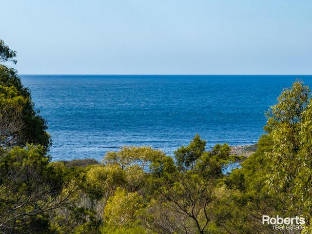 248 Harveys Farm Road, TAS 7215