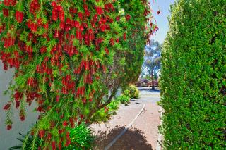Standard Photo (2019-11-14)