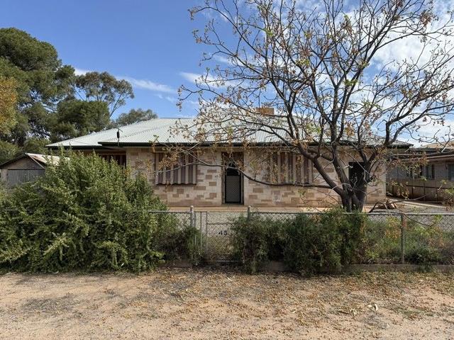45 Arkaba St, SA 5434