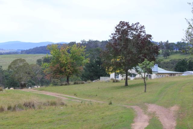 225 Kain Cross Road, NSW 2622