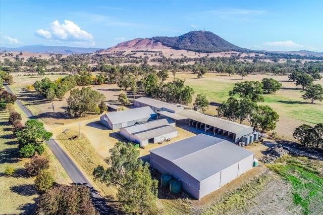 129 Olivers Road, VIC 3722