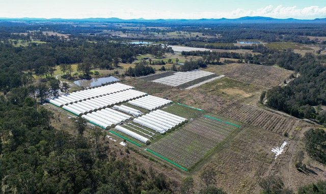 357 Big River Way, NSW 2460