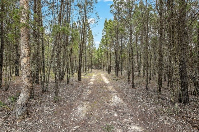 1393 Spring Creek Road, NSW 2850