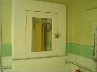 Bathroom (2010-05-03)
