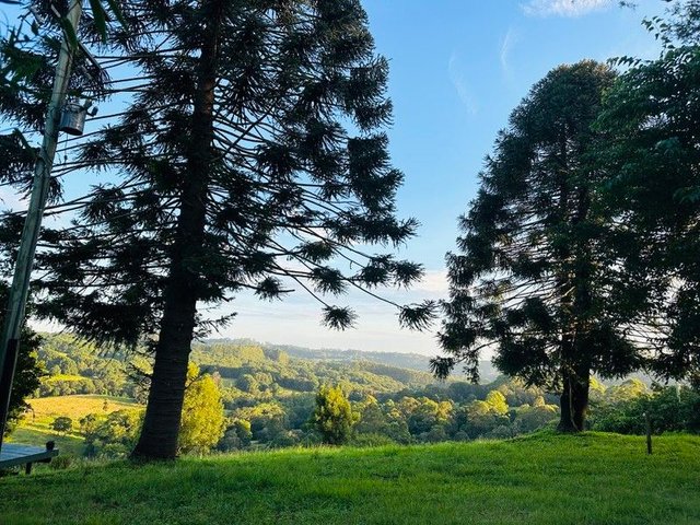 59 Mafeking Road, NSW 2482