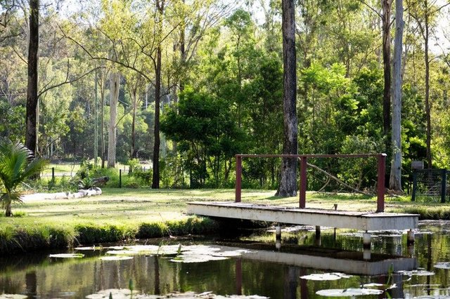 21-43 Wardland Ct, QLD 4207