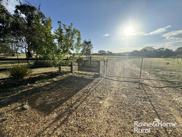 1917 Collector Road, NSW 2581