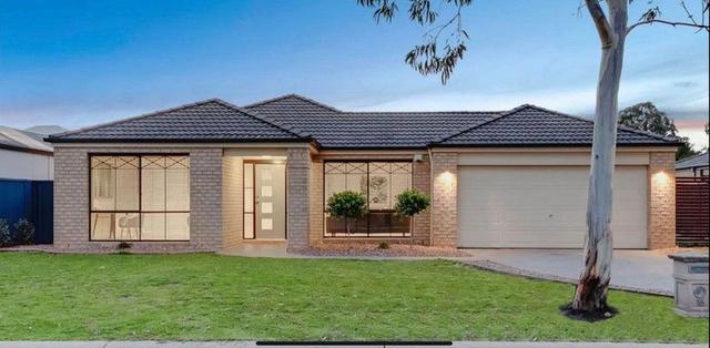 16 Stringy Bark Cct, VIC 3810