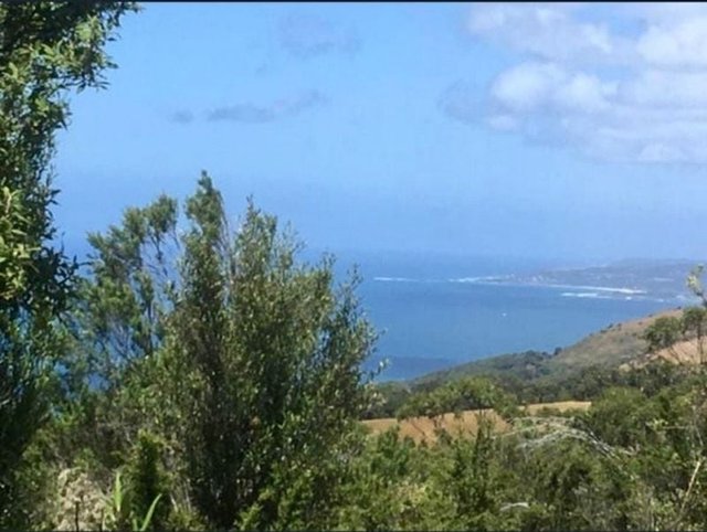 340 Sunnyside Road, VIC 3234