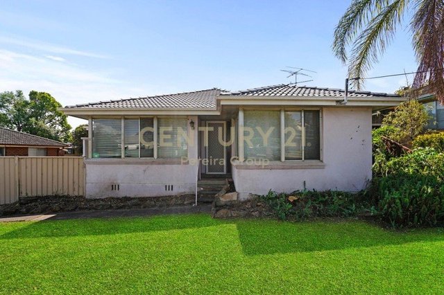 53 Queen Street, NSW 2567