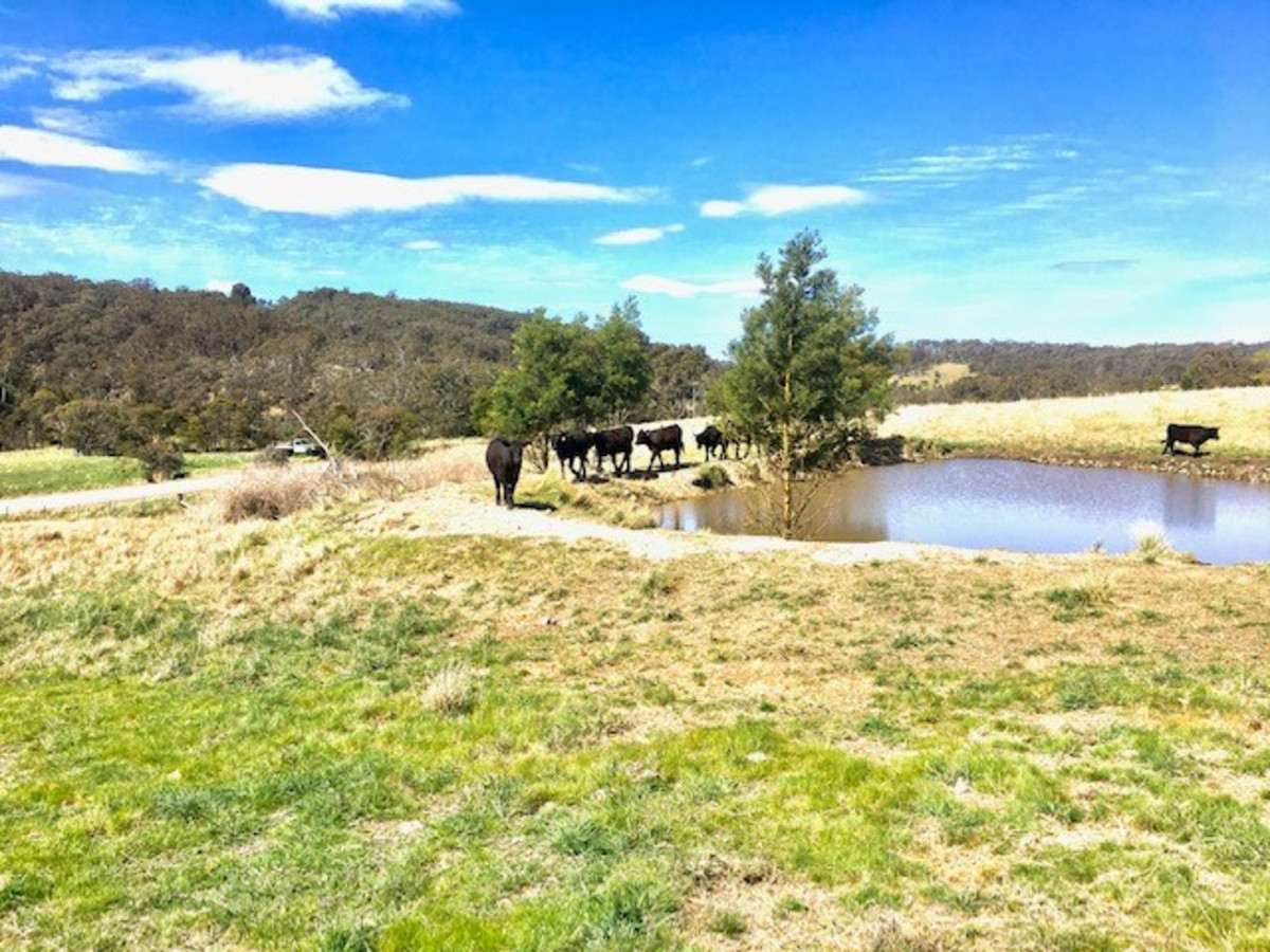 1518 Bannaby Road, Taralga NSW 2580 Allhomes