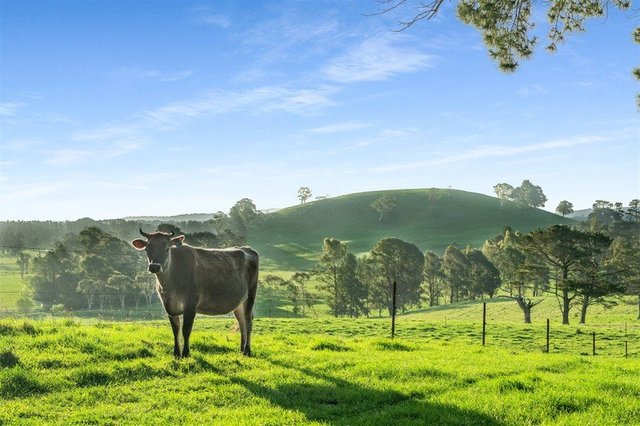 790 Kangaloon Road, NSW 2576