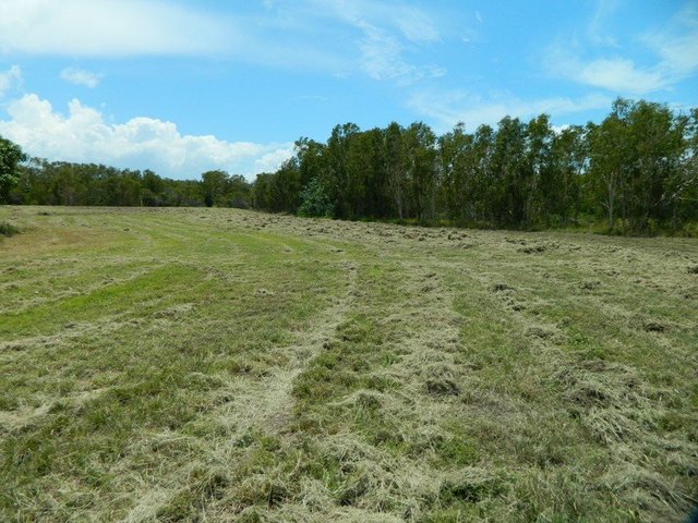 (no street name provided), QLD 4750