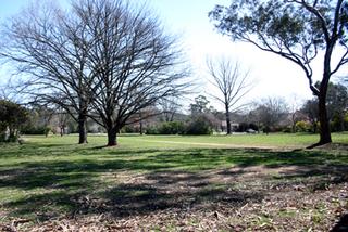 Park across road