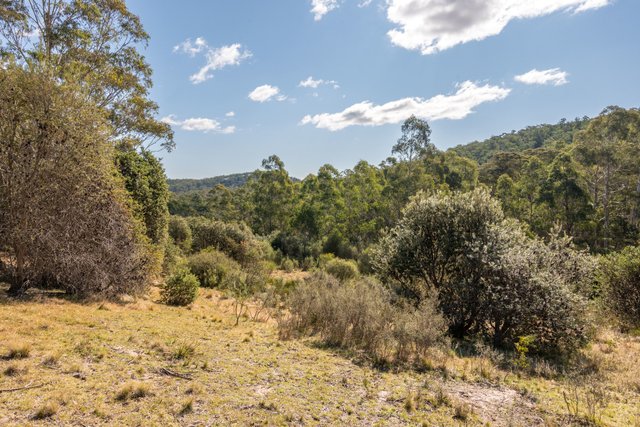 153 Blue Bush Road, NSW 2622