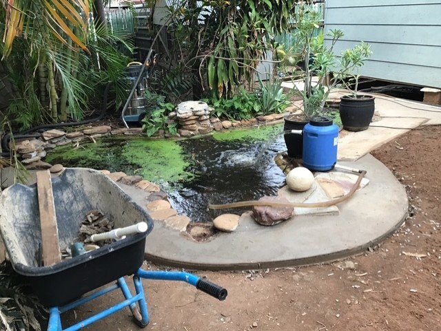 53 Hilary Street, QLD 4825