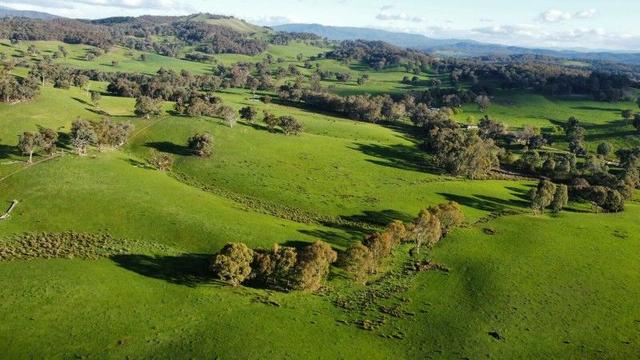 409 McInnes Lane, VIC 3678