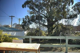 Rear yard (2005-07-28)