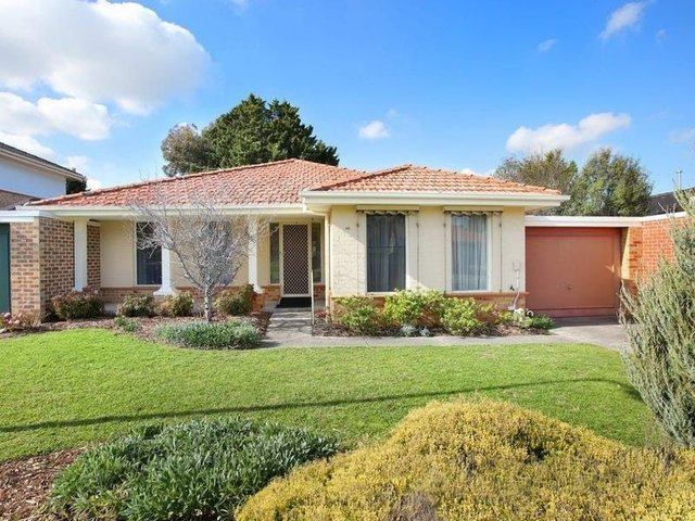 46 Albert Pl, VIC 3172