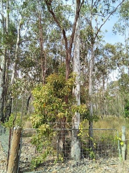 189 Millstream Pde, QLD 4888