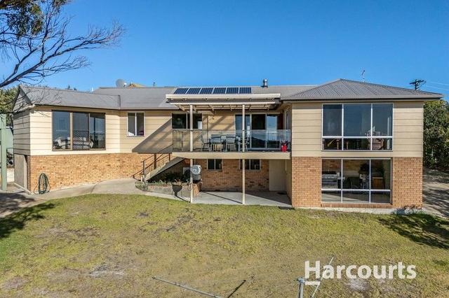 21 Swan Street, TAS 7264