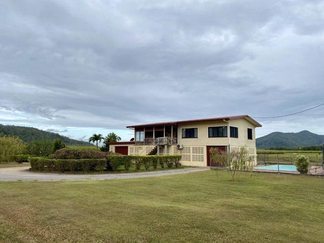 1823 Stone River Road, QLD 4850