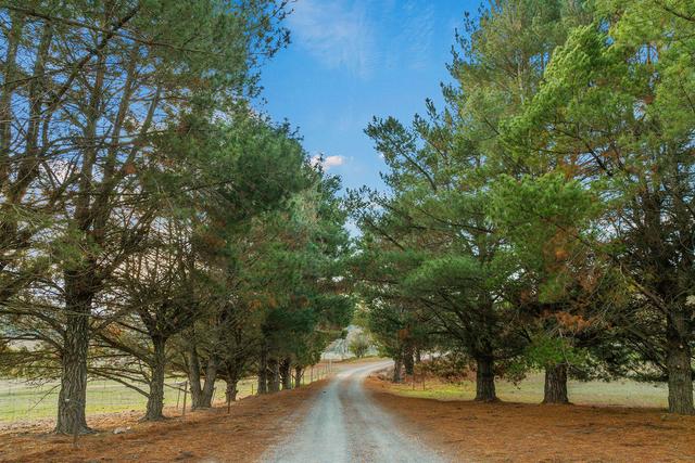 553 Boutchers Drive, NSW 2582