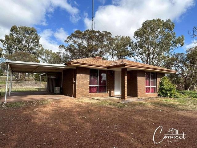 40 Withers Street, WA 6401