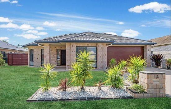 14 Backhousia Ct, QLD 4509