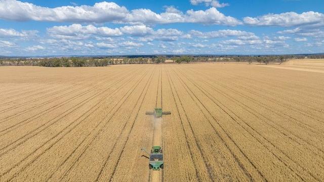 "Boundary Farm" 468 O'Leary Road, QLD 4361