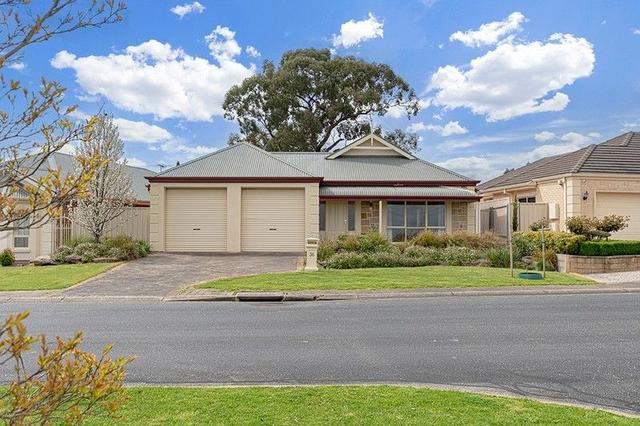 36 Creswell Av, SA 5051