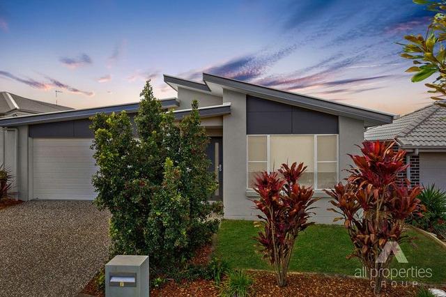 7 Cahill Crescent, QLD 4301