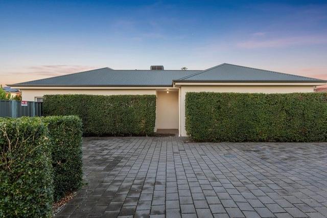 3B Seventh Avenue, SA 5043