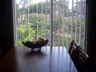 7 (2011-07-22)