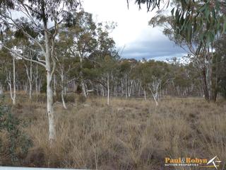 Grassland (2013-06-20)