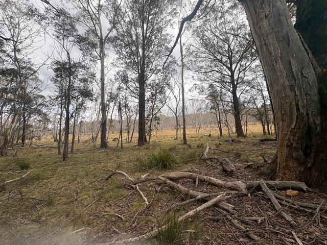 6972 Cooma Road, NSW 2622