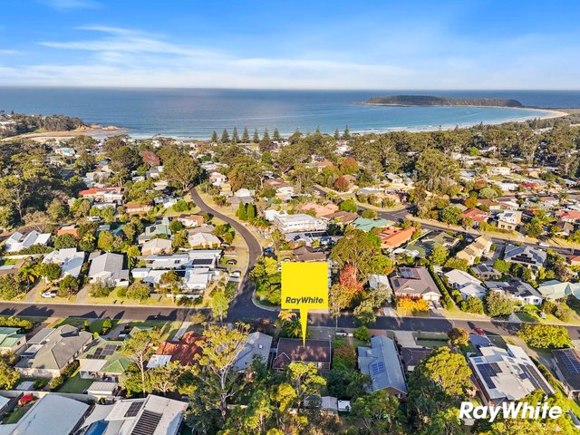 22 Zanthus Drive, NSW 2537