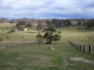 View (2009-09-29)