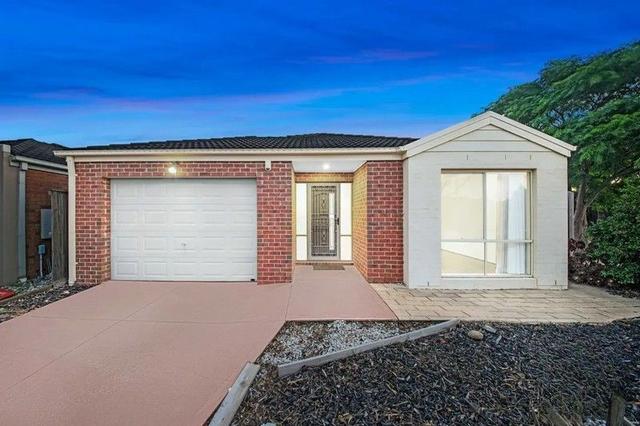 25 Solander Grove, VIC 3029
