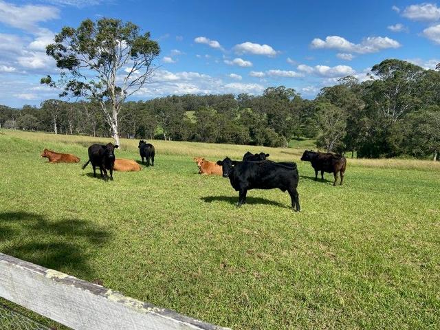 72 Bells Lane, NSW 2757