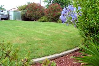 Rear garden (2003-01-29)