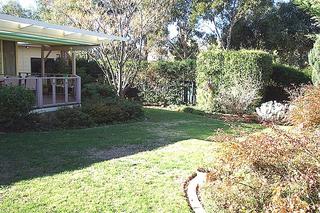 Rear garden (2006-06-15)