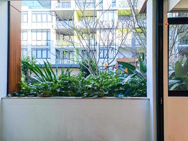 306E/41-45 Belmore Street, NSW 2112