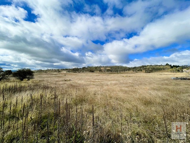 2354 Tom Groggin Road, NSW 2631