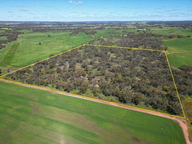 131/null Gillingarra- Glentromie Road, WA 6509